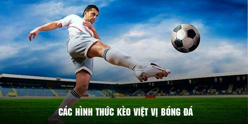 Hội viên sẽ được cung cấp nhiều hình thức cá cược việt vị khác nhau